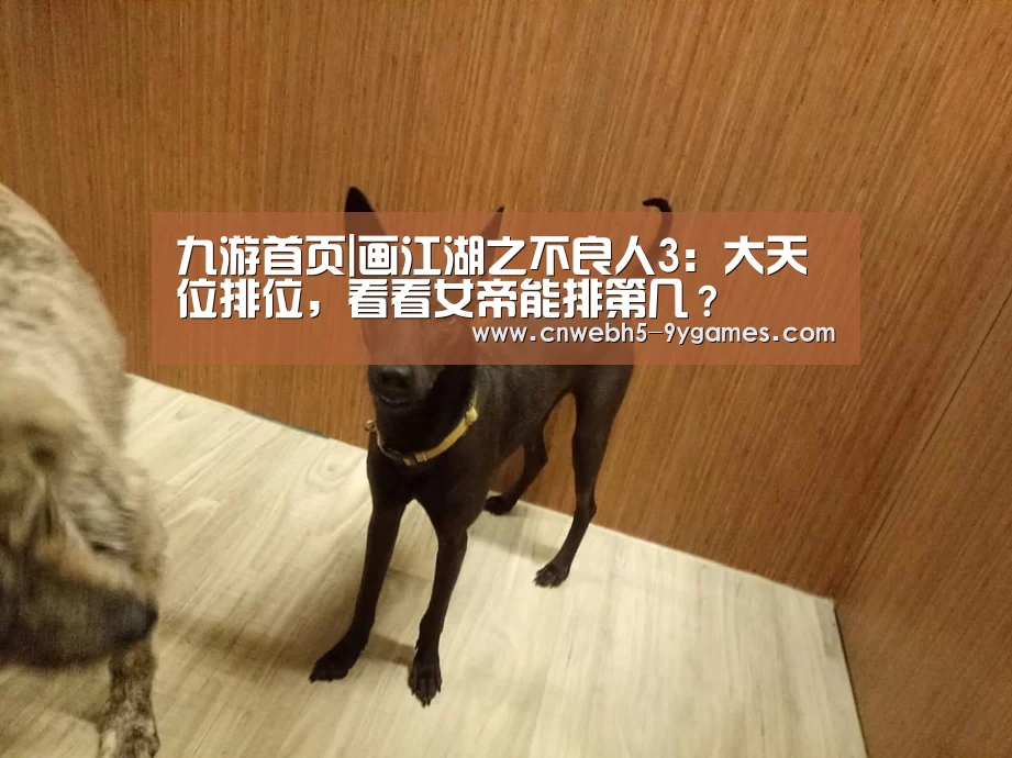 九游